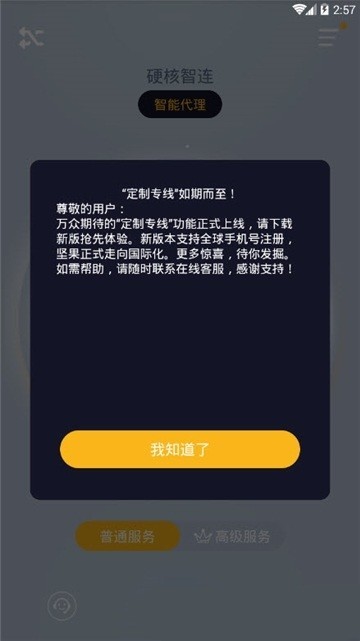 坚果vp加速器 正版截图3