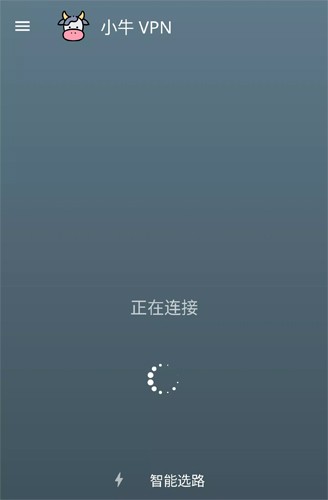 小牛加速器 永久免费npv版截图2