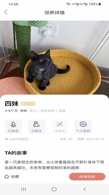 小猫先生截图2