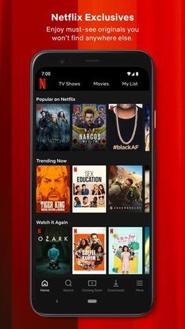 网飞netflix 中文版截图3